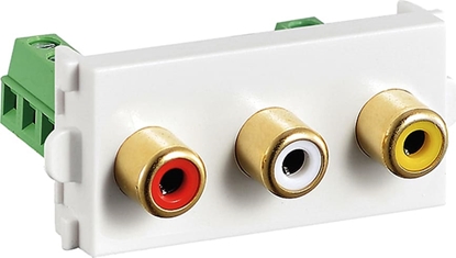 Attēls no Value A/V Module (2xAudio, 1x Video)