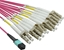 Изображение Value MPO Fan-Out Cable 50/125µm OM4, MPO/12x LC, violet, 2 m