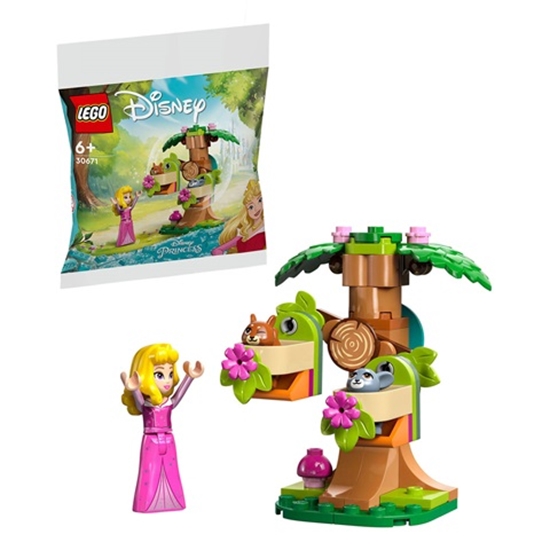 Изображение Lego 30671 - Disney Princess Aurora Forest Playground