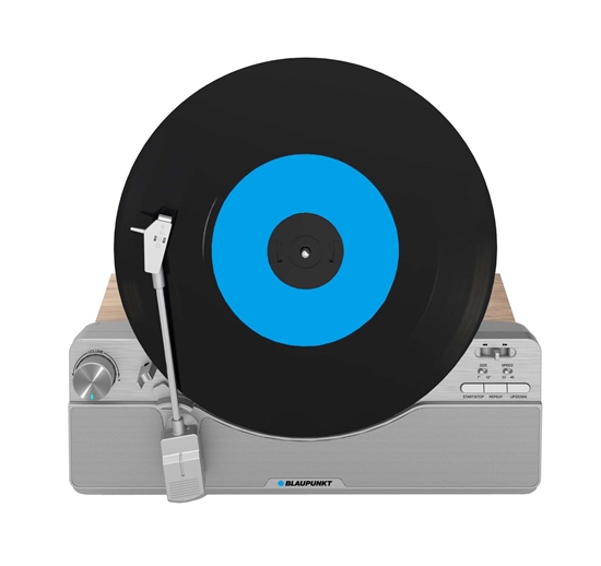 Изображение Blaupunkt VT100SL