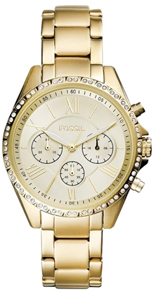 Picture of Fossil BQ3378 Women's watch