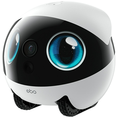 Изображение Intelligent companion robot ENABOT   EBO Air 2S wh