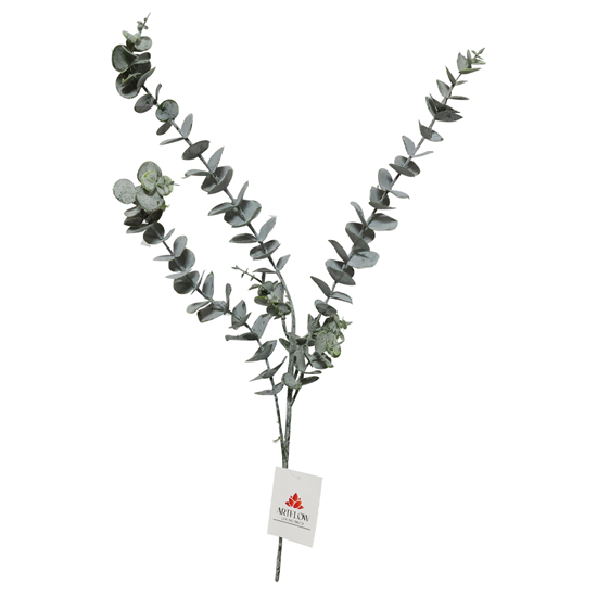 Picture of Mākslīgā Eikalipta zars 54cm