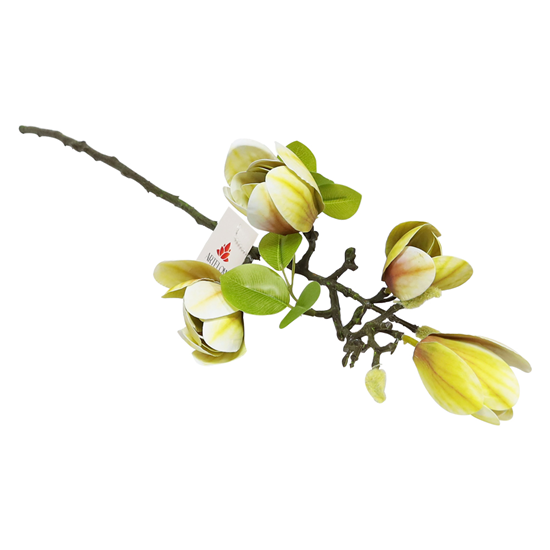 Picture of Mākslīgā Magnolija 68cm, balta