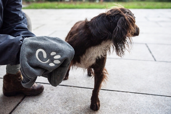 Picture of Muddy Dog Towel