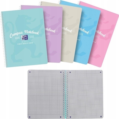 Attēls no Oxford Koozeszyt B5+/80K kratka Campus Pastel (5szt)