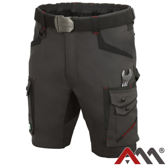 Изображение Šorti darba Professional 4 Dynamic 46.izm