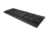 Picture of LENOVO PREFERRED II PRO USB KEYBOARD US EURO (COPILOT)