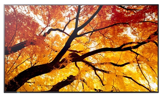 Picture of Monitor wielkoformatowy MultiSync M502 50 cali 550cd/m2 24/7