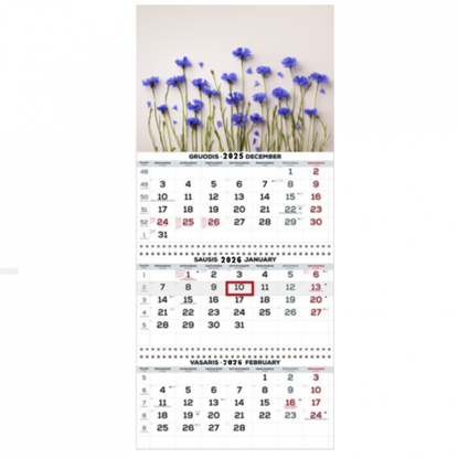 Изображение Wall Mounted Calendar 3 parts Trio 30x66cm.