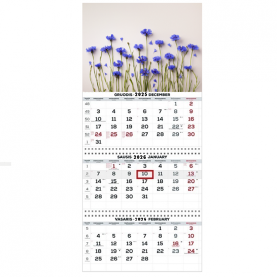 Изображение Wall Mounted Calendar 3 parts Trio 30x66cm.