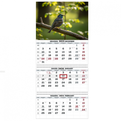 Изображение Wall Mounted Calendar 3 parts Trio 30x66cm.