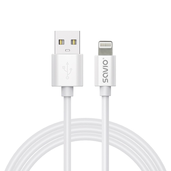 Picture of Kabel USB-A do Lightning 2m CL-193 