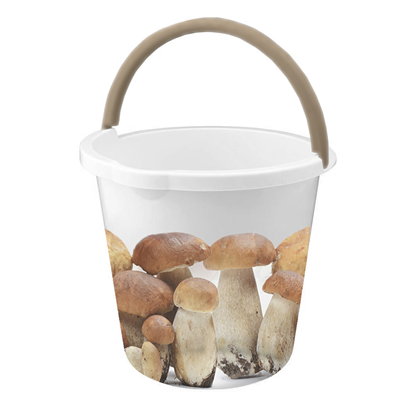 Attēls no Spainis 10L, Sēnes