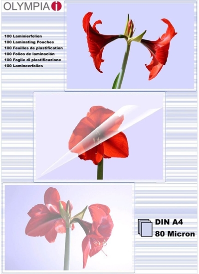 Picture of 1x100 Olympia Laminating pouches DIN A4 80 micron            9166