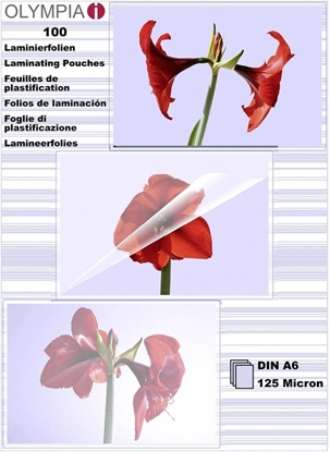 Picture of 1x100 Olympia Laminating pouches DIN A6 125 micron           9178