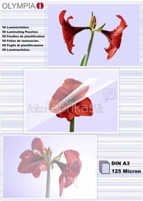 Picture of 1x50 Olympia Laminating pouches DIN A3 125 micron           9175