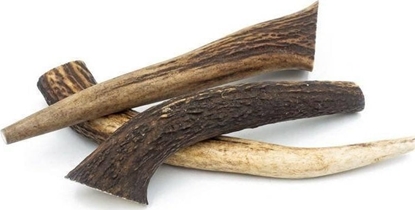 Attēls no 4DOGS 4Dogs Jeleniówki Gryzak Dla Psa Z Poroa XL 18cm