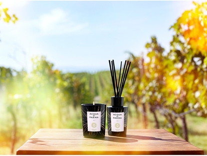 Изображение ACQUA DI PARMA Meets Luce Tenuta Luce Toscana dyfuzor zapachowy z patyczkami 180ml