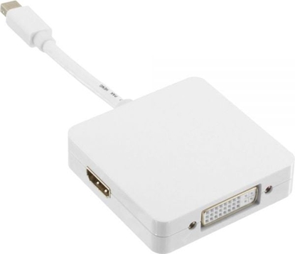 Attēls no Adapter AV InLine DisplayPort Mini - DisplayPort - HDMI - DVI biay (17195I)