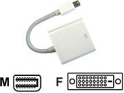 Attēls no Adapter AV JJ Computer DisplayPort Mini - DVI-D biay (AVC 127-0,1M)
