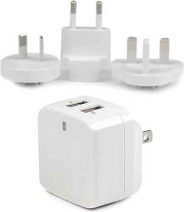 Изображение adowarka StarTech 2x USB-A 1 A (USB2PACWH)