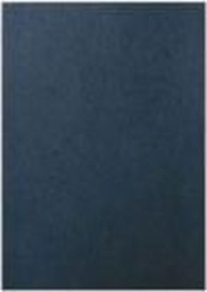 Attēls no Argo Karton Delta skóropodobny a3 czarny do bindowania 100szt. 432021