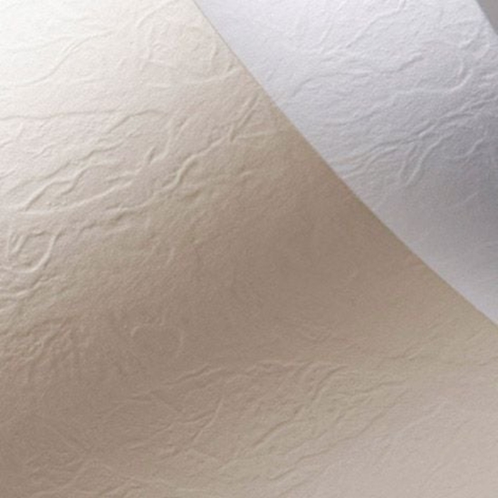 Изображение Argo Papier ozdobny Galeria Papieru skóra krem A4 230g