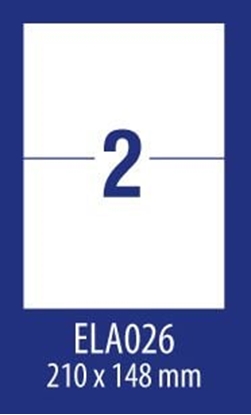 Изображение Avery Zweckform ETYK.ZF ECONOMY 210X148MM 026 100ARK ETYKIETA E100 ELA026 - ELA026