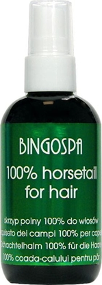 Picture of BingoSpa Skrzyp polny 100% BingoSpa