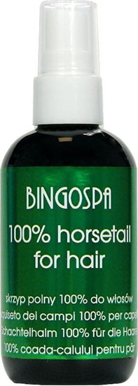 Picture of BingoSpa Skrzyp polny 100% BingoSpa