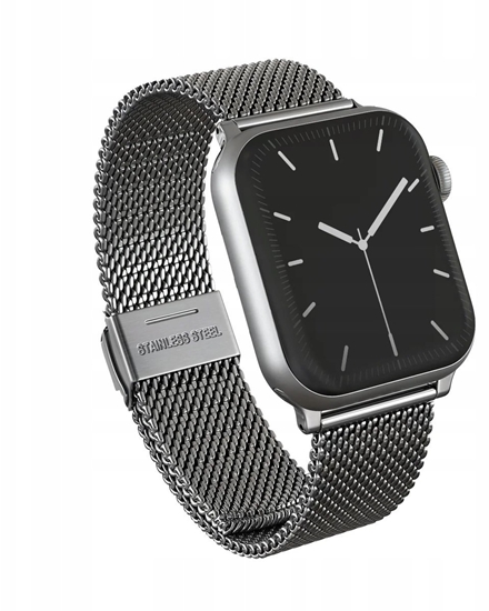 Изображение BURGA Metal Mesh Elegance for Apple Watch 38/40 mm (silver)