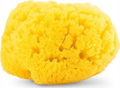 Picture of CHICCO_Natural Sponge gbka do kpieli