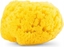 Attēls no CHICCO_Natural Sponge gbka do kpieli