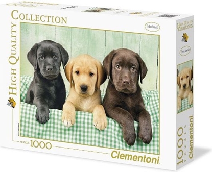 Изображение Clementoni 1000 EL. HQ Three Labs 39279