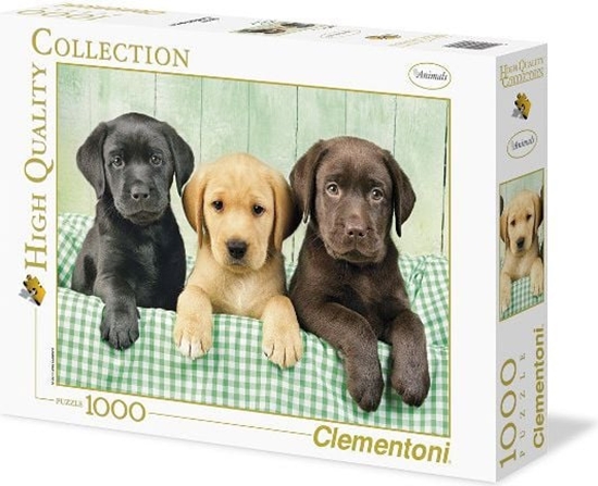 Picture of Clementoni 1000 EL. HQ Three Labs 39279