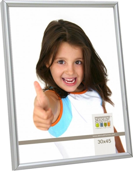 Изображение Deknudt S011D1             30x45 Resin matt silver