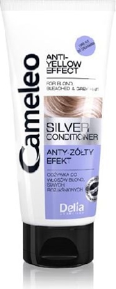 Изображение Delia Cosmetics Cameleo Silver Odywka do wosów blond i siwych 200 ml
