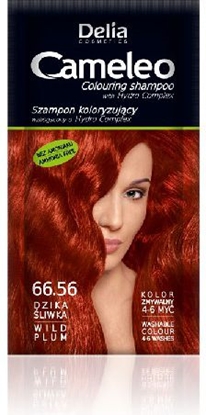 Изображение Delia Cosmetics Cameleo Szampon koloryzujcy 66.56 dzika liwka