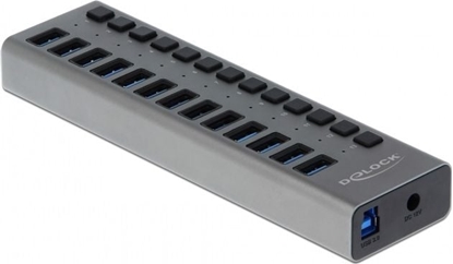 Изображение Delock External USB 5 Gbps Hub with 13 Ports + Switch
