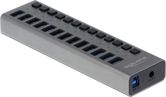 Изображение Delock External USB 5 Gbps Hub with 13 Ports + Switch