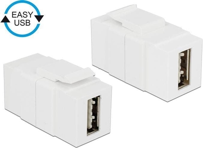 Picture of Delock Keystone module EASY-USB 2.0 A female > EASY-USB 2.0 A female white