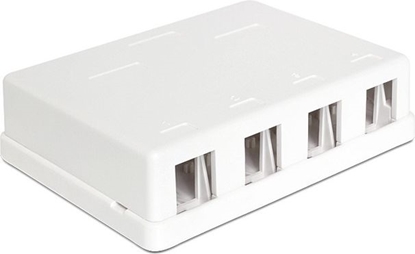 Attēls no Delock Keystone Surface Mounted Box 4 Port