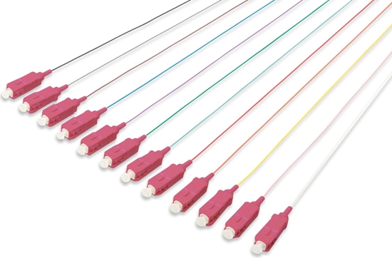 Изображение Digitus colored pigtails, SC OM4 50/125 ?, Simplex