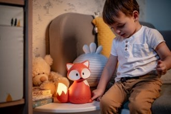 Picture of Dyfuzor olejków, aromatyzer zapachowy dla dzieci Humanas Dream Fox - rudy