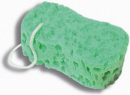 Attēls no Donegal GBKA DO MYCIA ósemka