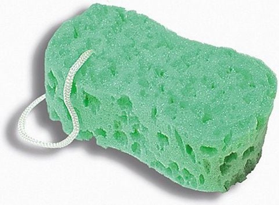 Изображение Donegal GBKA DO MYCIA ósemka