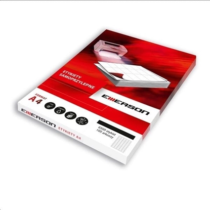 Picture of Emerson ETYK.EMERSON 48,5X16,9 100 art.001 ETYKIETA - eta4485x169w