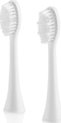 Picture of ETA | Toothbrush replacement | FlexiClean ETA070790100 | Heads | For adults | Number of brush heads included 2 | Number of teeth brushing modes Does not apply | White
