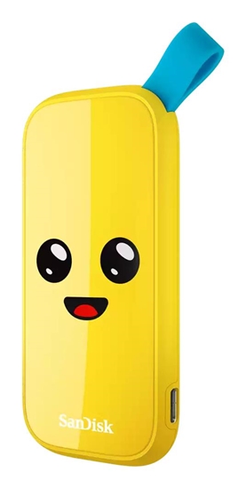 Picture of External SSD|SANDISK|1TB|USB 3.2|Read speed 800 MBytes/sec|SDSSDE30-1T00-G25F